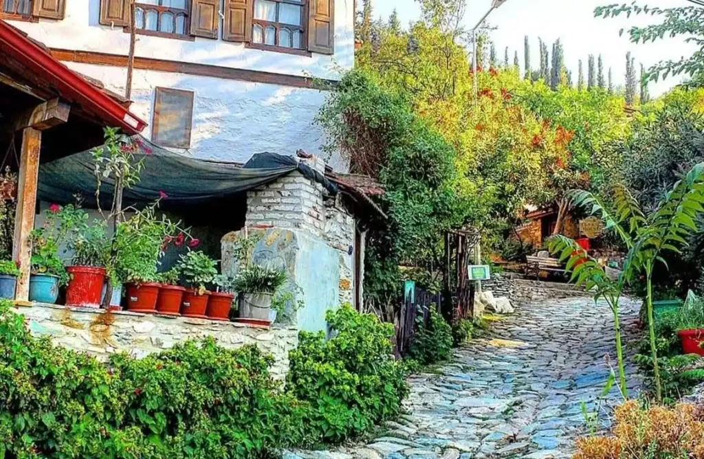 İzmir Çeşme Alaçatı Efes Şirince Turu / 1 Gece Otel Konaklamalı