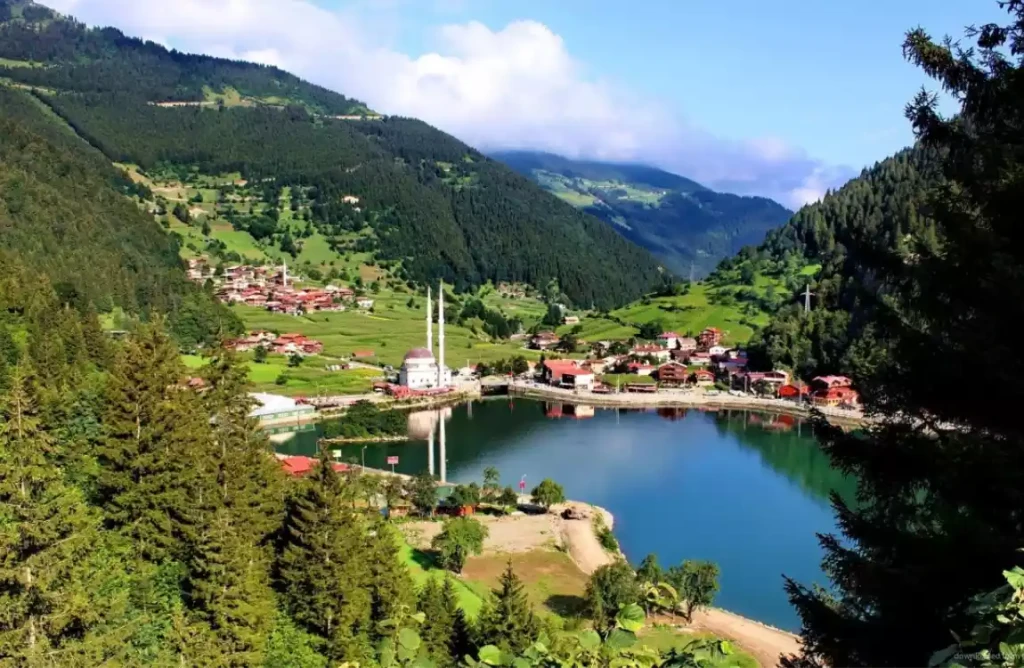Karadeniz Yaylalar Ve Batum Turu / 4 Gece Otel Konaklamalı / İstanbul Çıkışlı