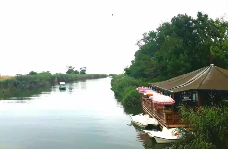 Günübirlik Şile Ağva Akçakese Köyü Mavi Koy Turu