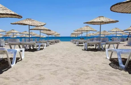 Günübirlik Yüzme Molalı Ayvalık Sarımsaklı Plajı Turu