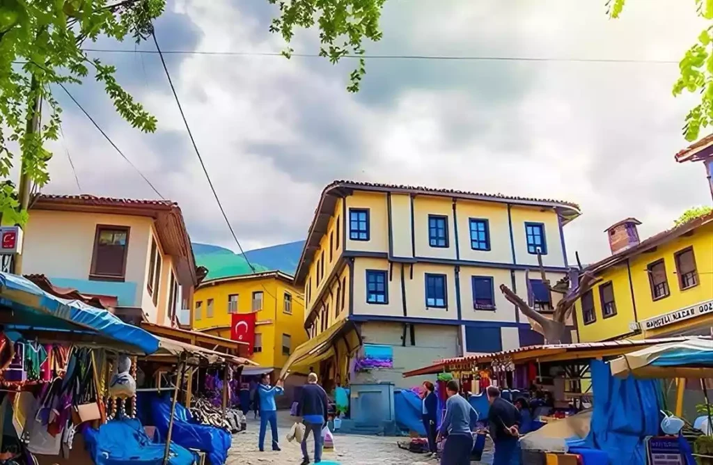 Cumalıkızık Trilye Gölyazı Ormanya Masukiye Turu 1 Gece Konaklamalı