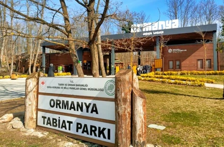 Ormanya-Maşukiye-Cam Teras Turu-İstanbul-Çıkışlı