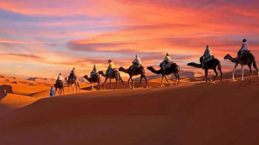 Sharm el Sheikh ve Kahire / Ajet Havayolları Tarifeli Seferleri ile / 5 Gece Konaklamalı