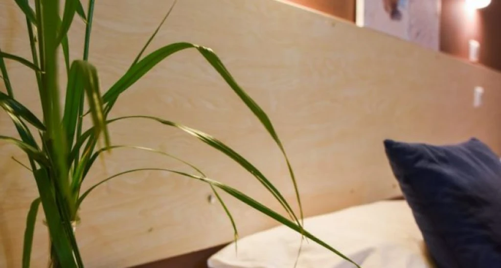 Amaryllis Hotel