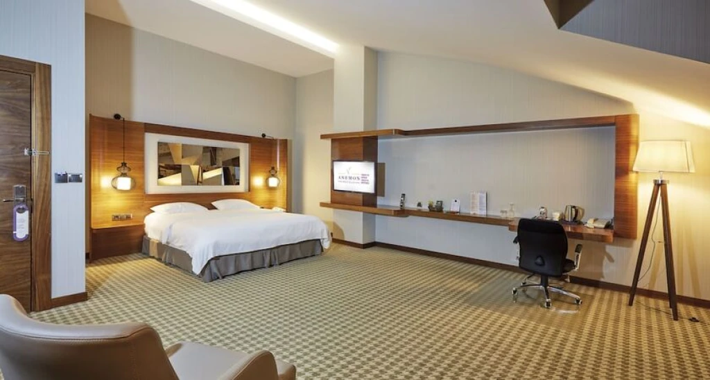 Anemon Ankara