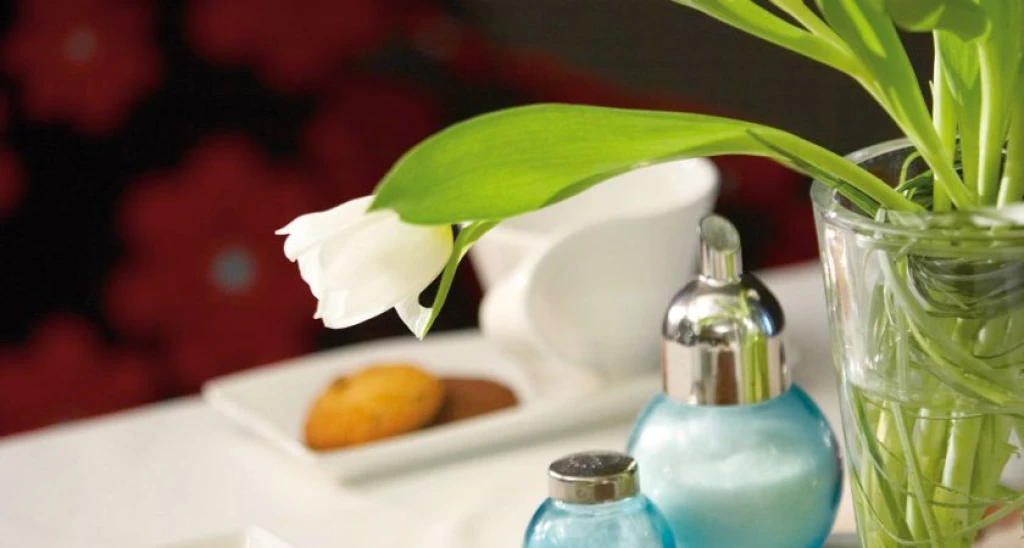 Anessis Hotel Selanik