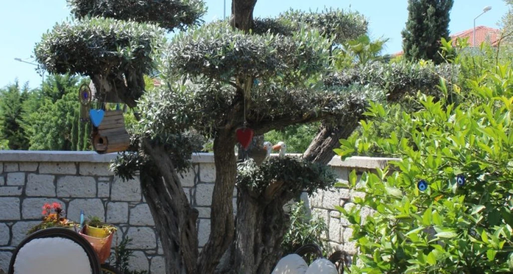 Cemal Alaçatı Hotel