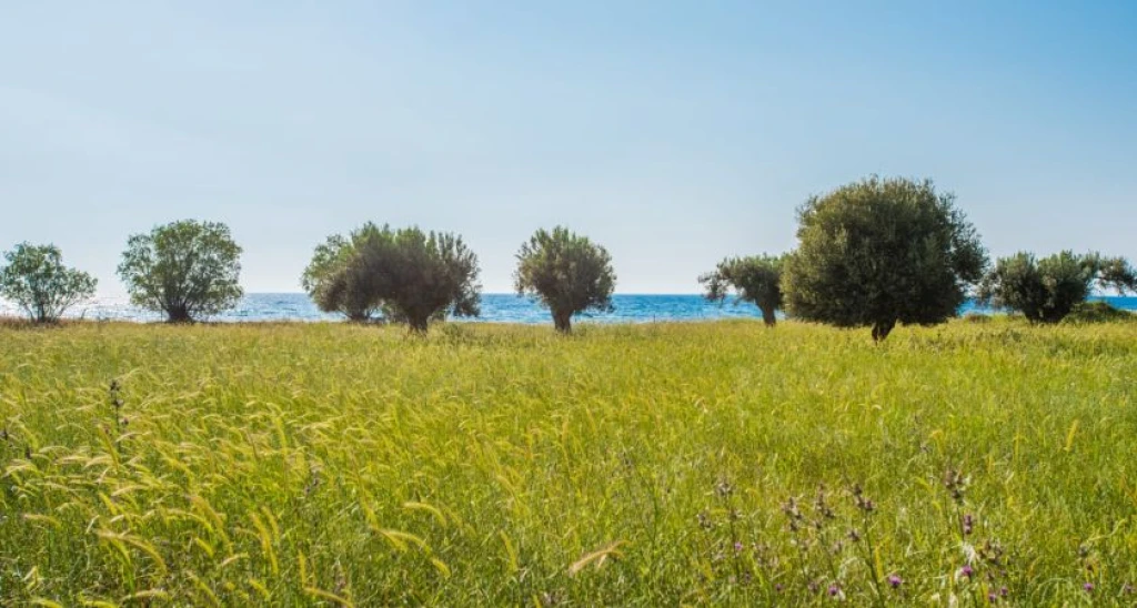 Delfinia Hotel Midilli