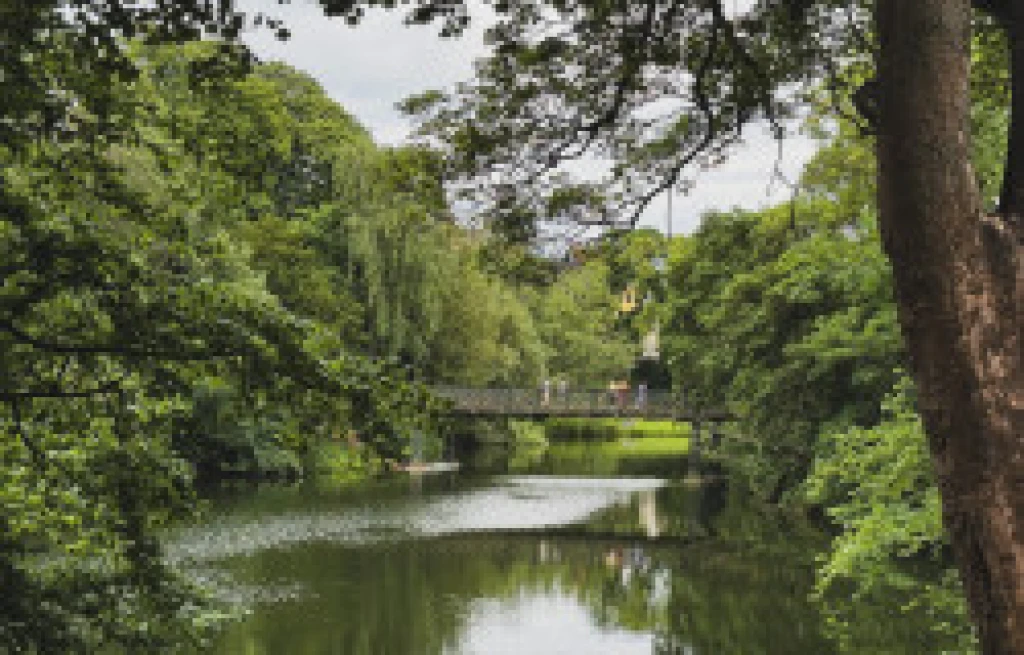 İzmir Hareketli Costa Diadema ile Norveç Fiyortları Turu (7 Gece - 8 Gün)