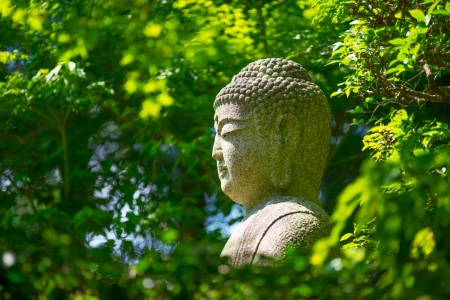 Türk Hava Yolları ile Grand Japonya - Kore Turu