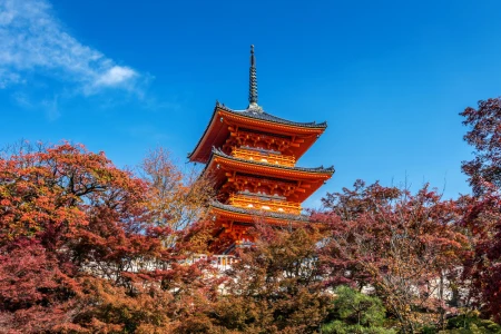 ANA Hava Yolları ile Grand Japonya Turu