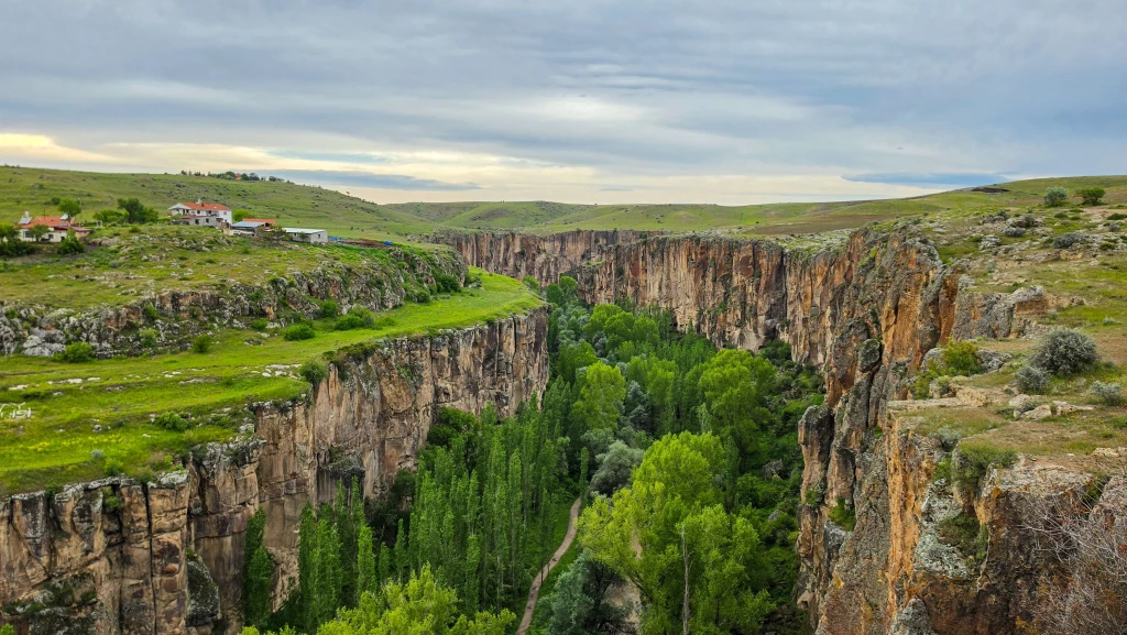 Kapadokya : Yeşil Tur (grup)