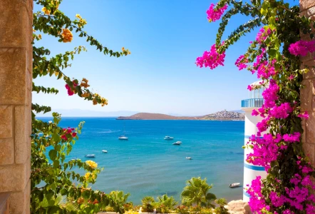 Bodrum Gökova Fethiye ve Ölüdeniz Turu / 3 Gece Konaklamalı / İstanbul Çıkışlı