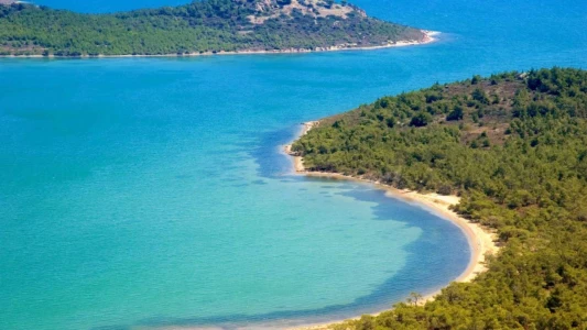 Günübirlik Yüzme Molalı Ayvalık Koyları ve Cunda Adası Turu