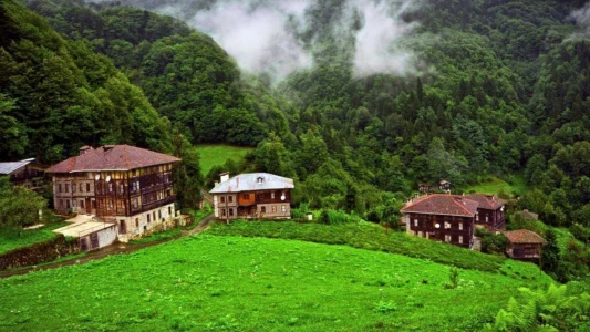 Uçaklı Karadeniz Yaylalar ve Batum Turu (Batum Konaklamalı) / 3 Gece Konaklamalı / İstanbul Çıkışlı