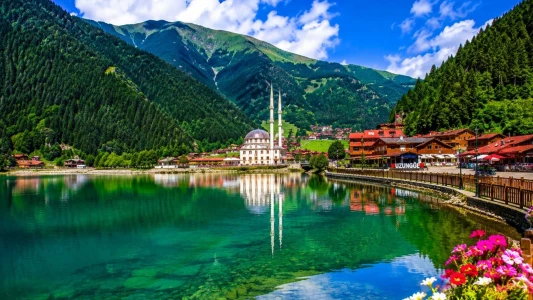 Karadeniz Yaylalar ve Batum Turu / 3 Gece Otel Konaklamalı / İstanbul Çıkışlı