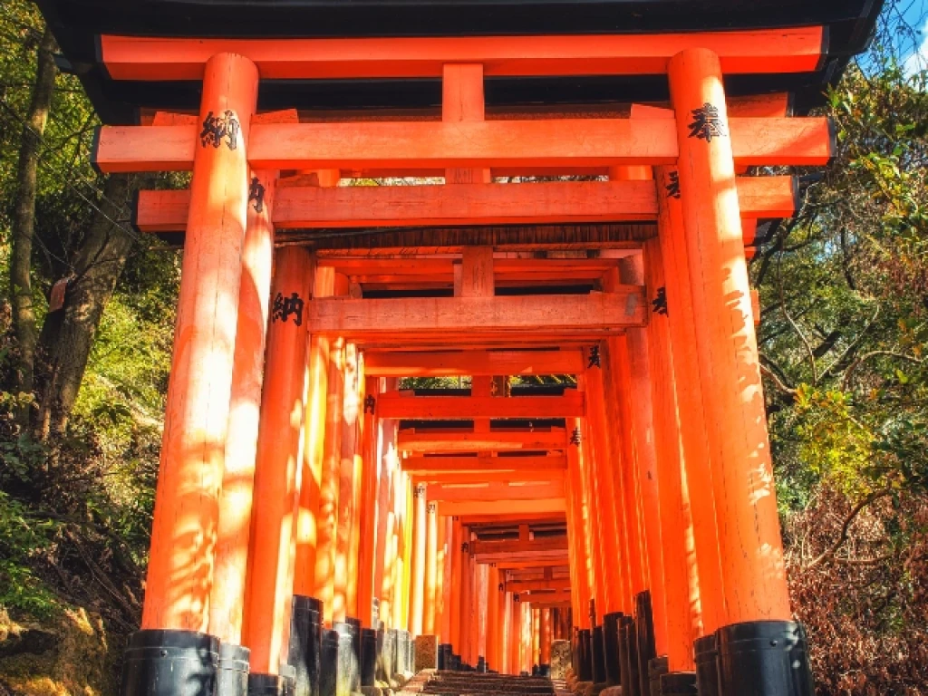 Dolu Dolu Japonya Turu Mistik Rotalar (NRT-KIX)