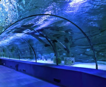 Aydın Çıkışlı Antalya Alanya Side Akdeniz Sahilleri Turu