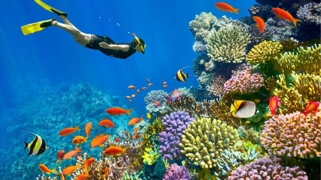 Royal Sharm El Sheikh Turu / 3 Gece Konaklamalı / İstanbul Çıkışlı