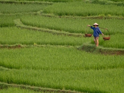 Baştan Başa Vietnam ve Kamboçya Turu Rotası