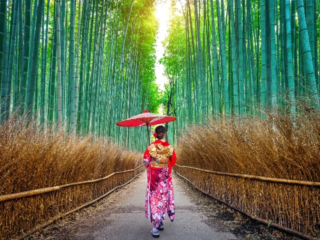 Japonya Turu Mistik Rotalar (Osaka’da Universal Studio)
