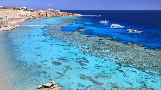 Air Cairo İle Royal Kahire Turu ve Shakira Konseri Özel Programı / 3 Gece Konaklamalı / İstanbul Çıkışlı