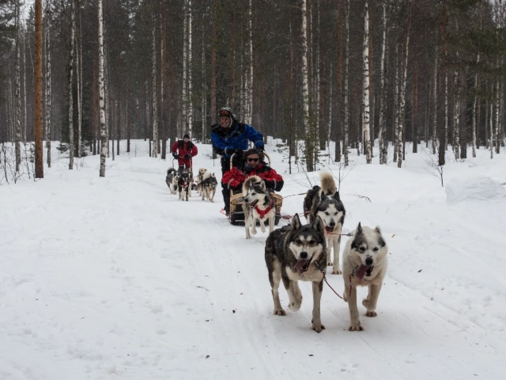 Süper Promo Lapland Turu Beyaz Rotalar (4 Gece - Park Hotel)