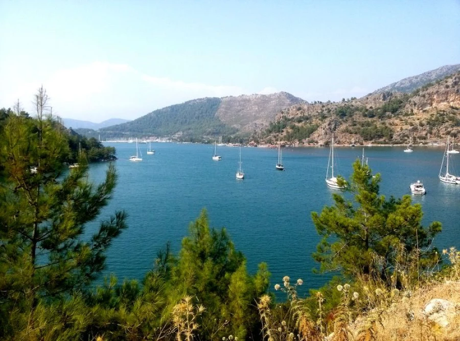 HISARONU