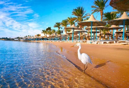 Baştanbaşa Mısır Turları Sharm Kahire Hurgada Ajet ile 7 Gece 8 Gün