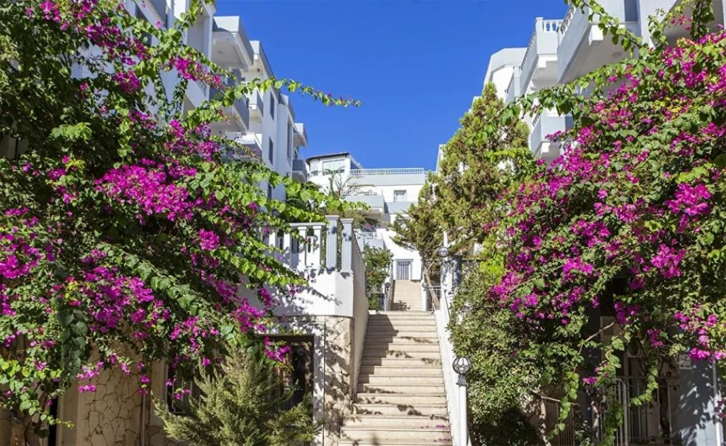 Fora Holiday Hotel Bodrum Gümbet 3 Gece 4 Gün Turu