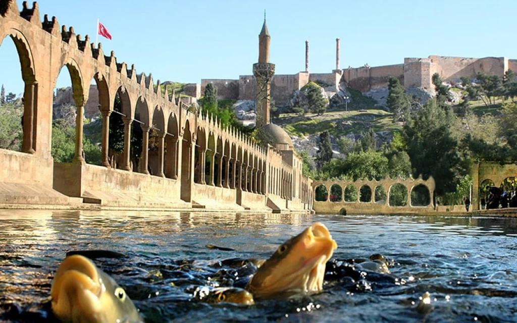 ŞANLIURFA ÇIKIŞLI   1 GECE 2 GÜN ŞANLIURFA GAZİANTEP