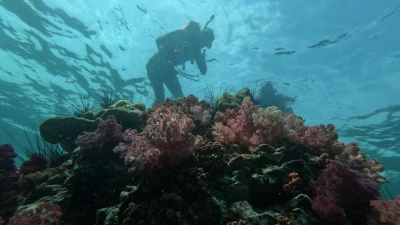 Sharm El Sheikh’te Şnorkel ve Dalış Rehberi