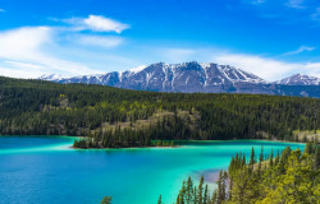 Celebrity Edge ile Alaska Turu
