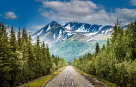 Celebrity Edge ile Alaska Turu