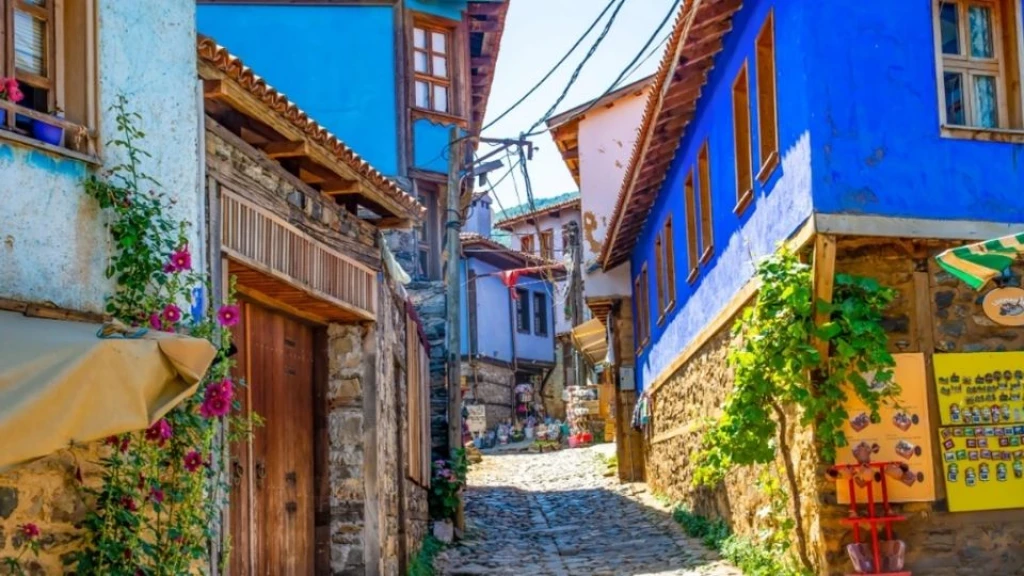 Günübirlik Cumalıkızık Gölyazı Mudanya ve Misi Köyü Turu / İstanbul Çıkışlı