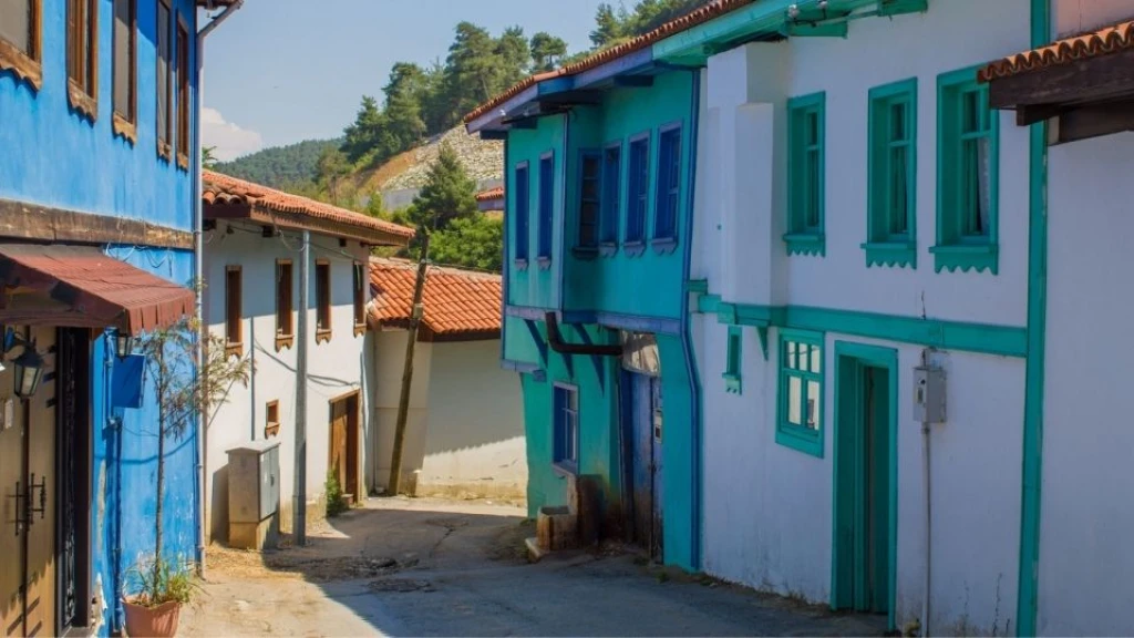 Günübirlik Cumalıkızık Gölyazı Mudanya ve Misi Köyü Turu / İstanbul Çıkışlı