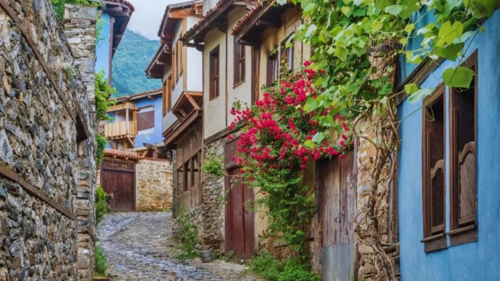 Günübirlik Cumalıkızık Gölyazı Mudanya ve Misi Köyü Turu / İstanbul Çıkışlı