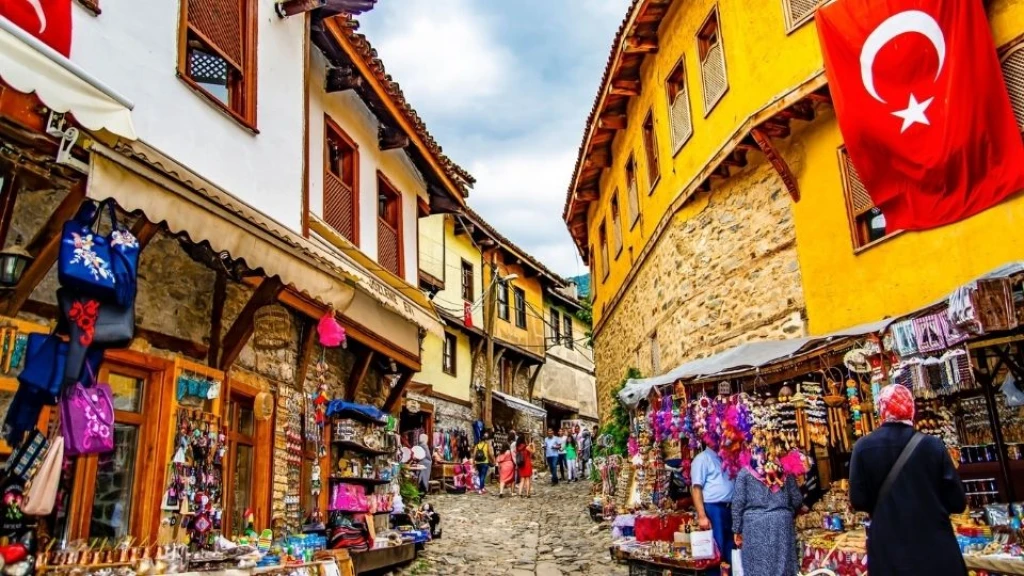 Günübirlik Cumalıkızık Gölyazı Mudanya ve Misi Köyü Turu / İstanbul Çıkışlı