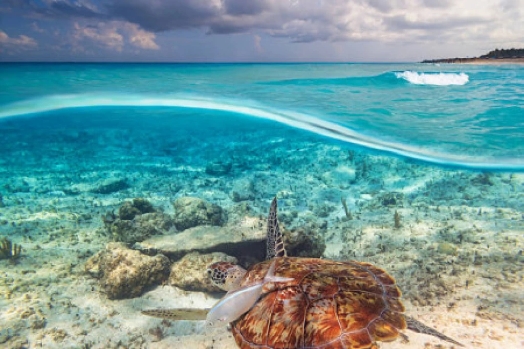 5 Yıldızlı Allure of the Seas ile Doğu Karayipler