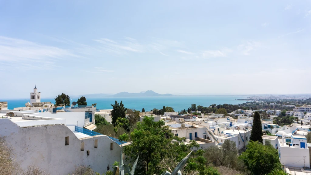Gorgeous Tunisia and Ancient Cities 3 Nights - with THY on December 30 (New Year's Special)