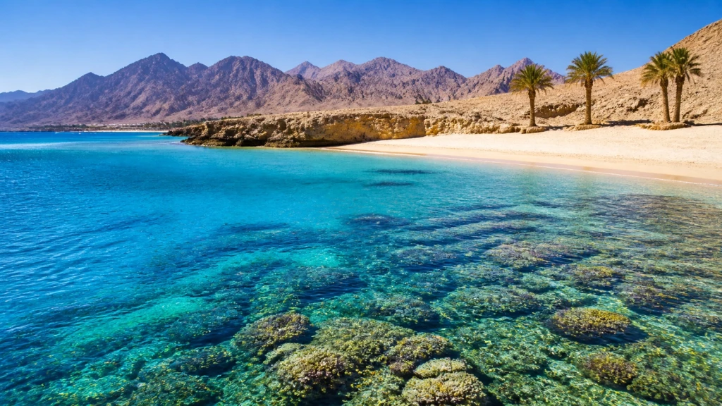 Sharm El Sheikh Turu | AJet | 4 Gece