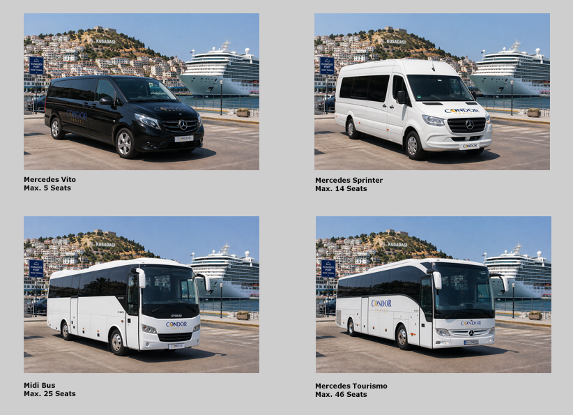 Transfer & Tour Vehicles