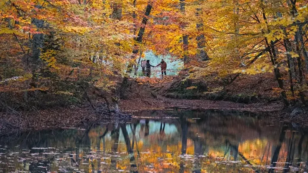 🌲 GÜNÜBİRLİK ABANT & YEDİGÖLLER TURU 🍂✨