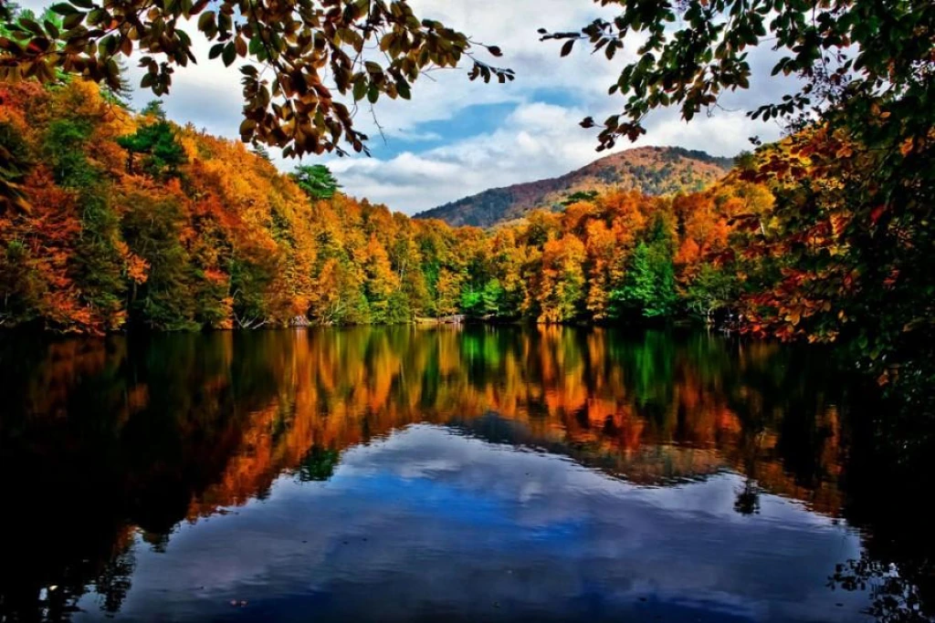 🌲 GÜNÜBİRLİK ABANT & YEDİGÖLLER TURU 🍂✨