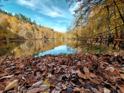 🌲 GÜNÜBİRLİK ABANT & YEDİGÖLLER TURU 🍂✨