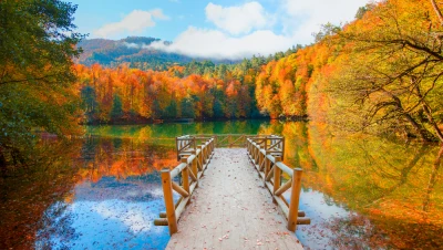 Batı Karadeniz Şile Ağva ve Yedigöller Turu • Yeşilin ve Doğanın İzinde