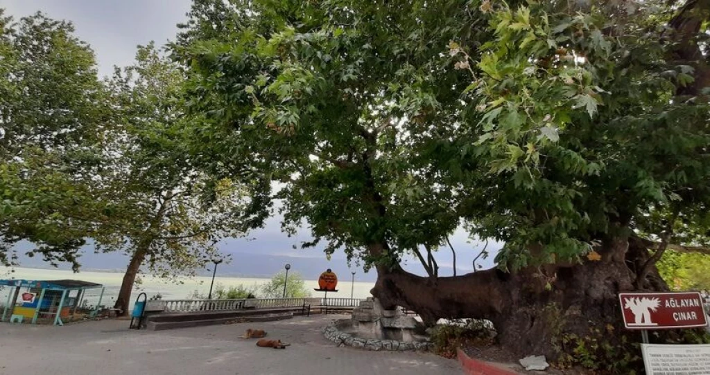 BURSA CUMALIKIZIK,GÖLYAZI,ULUBAT GÖLÜ,TRİLYE,MUDANYA TURU 11 EKİM 2026