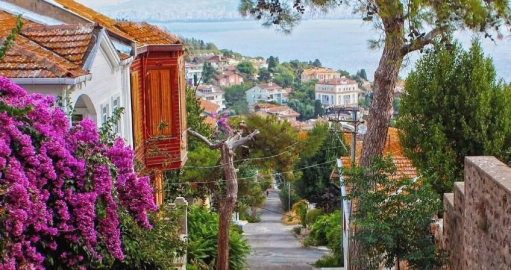 İstanbul Büyükada Ortaköy Turu | Günübirlik Tur 2026