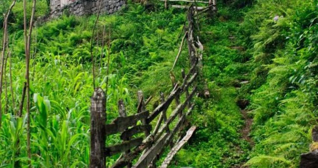 Karadeniz ve Batum Turu | 6 Gece 7 Gün Karadeniz Turu 2026