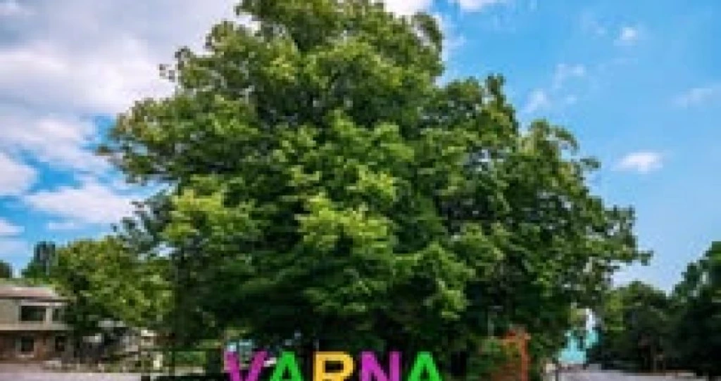 Varna Burgaz Nessebar Turu | Günübirlik Tur 2026
